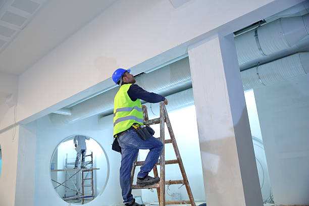 Best Water-Damaged Drywall Repair  in Johnson Lane, NV